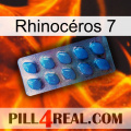Rhinocéros 7 viagra1